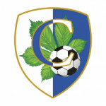 Команда FC Syrets