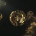 Logo Ummon