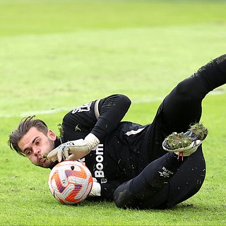 Спартак, Помазун, Почему