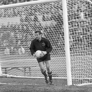 Яшина признали лучшим вратарем в истории футбола Яшина, Рикардо, Майер, Дзофф, Самора