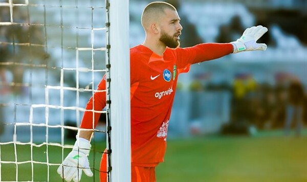 Алексей, Украины, Ермаков, Динамо, Паламарчук