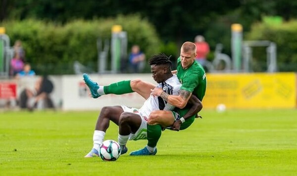 Полесье, Штурм, Австрии, Бескоровайный, Михайличенко