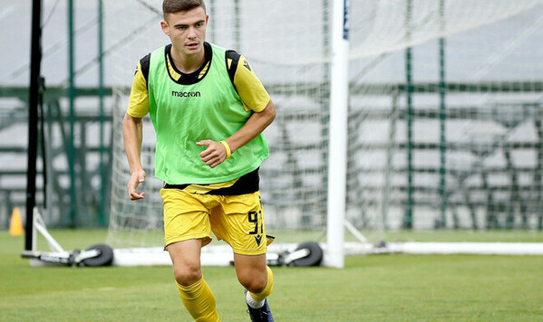 Владислав, Минай, Пробой, Городенка