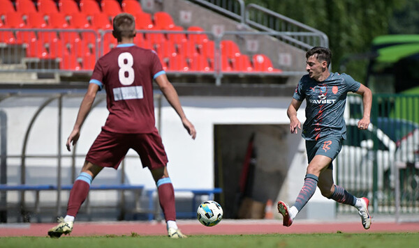 Гочолеишвили, Шахтер, Дании