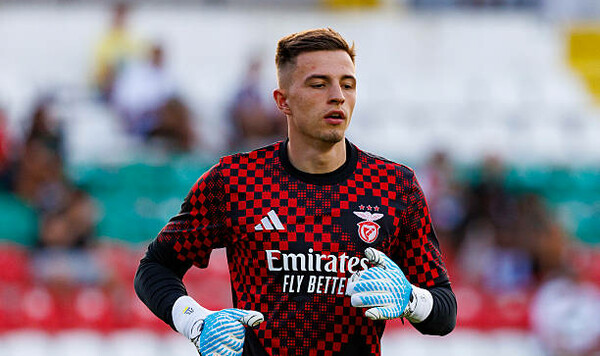 Бенфику, Трубин, Лиги