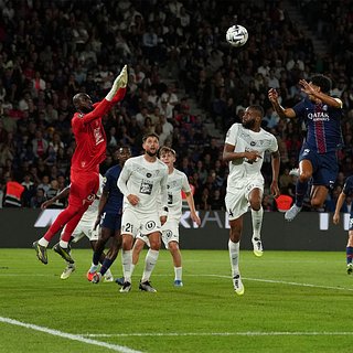 Болельщика с флагом Украины выгнали с матча ПСЖ Анже, Илья, Забарный, Матвей, Сафонов