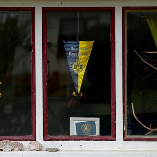 Невену, Суботичу, Маша, Эльче, Хуммельсу