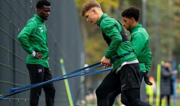 Украины, Африку, Ротаня, Полесье, Волки