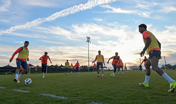 Шахтер, Динамо, Тбилиси, Турции