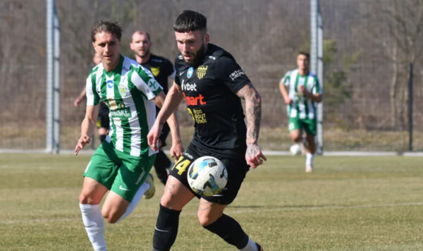 Карпат, Буковина, Стенио, Кожушко, Бойчук