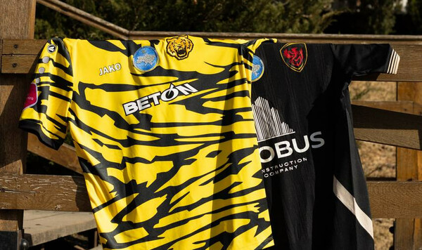 Чернигов, Украины, Кубка, Феникс, Мариуполь