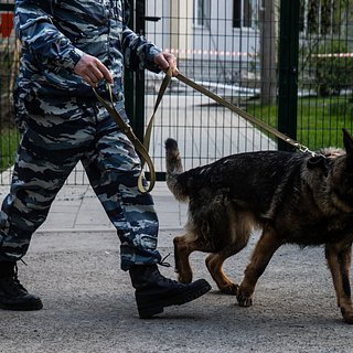 Динамо, Краснодар, Внимание